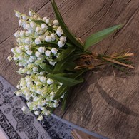 荷蘭Emerald人造植物 白色風鈴草