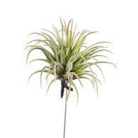 荷蘭Emerald人造植物 空氣鳳梨 (長12公分)