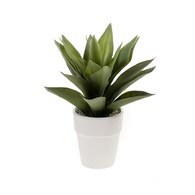 荷蘭Emerald人造植栽 小龍舌蘭灌木 (白盆)