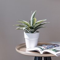 荷蘭Emerald人造植栽 小龍舌蘭灌木 (白盆)