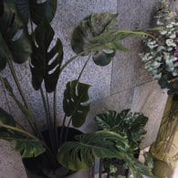 荷蘭Emerald人造植栽 電信蘭綠叢 (高95公分)