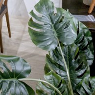 荷蘭Emerald人造植栽 電信蘭綠叢 (高95公分)