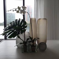 德國Guaxs玻璃花器 KOONAM系列 (煙燻灰、高68公分)