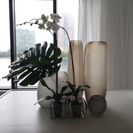 德國Guaxs玻璃花器 GOBI系列 (煙燻灰、高65公分)