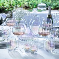 英國LSA 貝殼絢彩白酒杯4入組 325ml