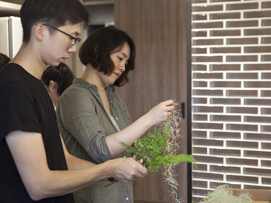 人造植物妝點居家品味